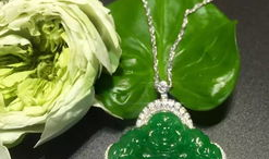 翡翠漫画,穿越时空的奇幻冒险之旅